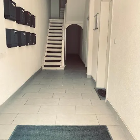 Traumhaftes 1-zi Mit Gartennutzung Naehe Hbf