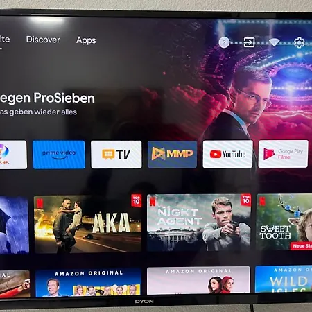 Traumhaftes 1-zi Mit Gartennutzung Naehe Hbf Apartment