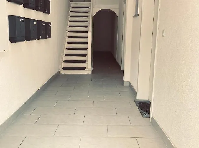 Traumhaftes 1-zi Mit Gartennutzung Naehe Hbf