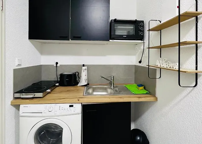 Traumhaftes 1-zi Mit Gartennutzung Naehe Hbf